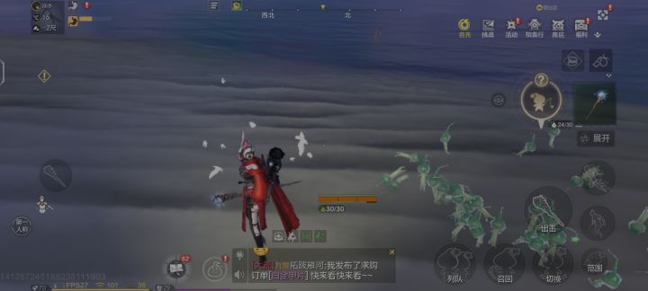 bug截图