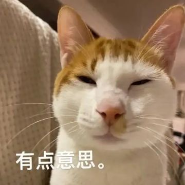 上线一周，都来给游戏打出你的真实评分吧！