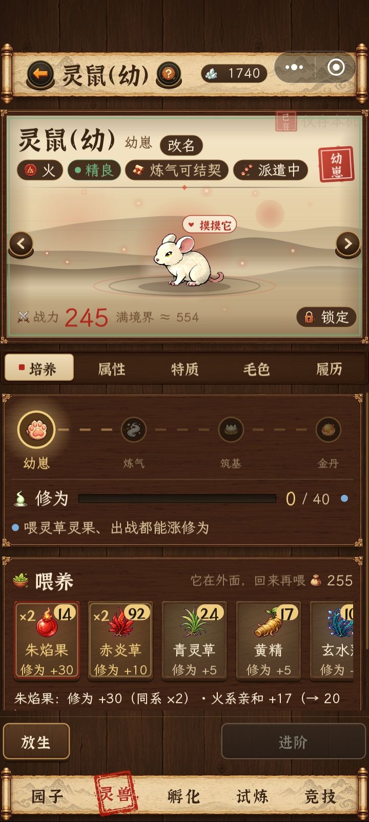 喂养不了截图