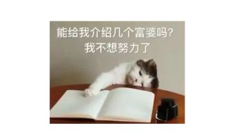 全宝箱开箱内容收集贴