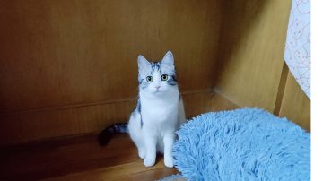 一个商人的自白