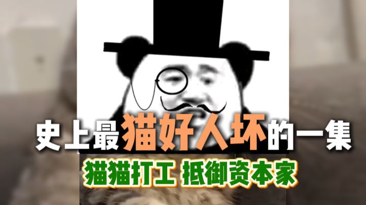 猫好人坏！让猫猫打工塔防截图