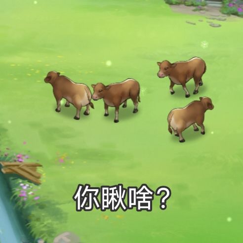 新庄园时代表情包1 4