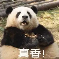 签到成就达成，继续出发截图