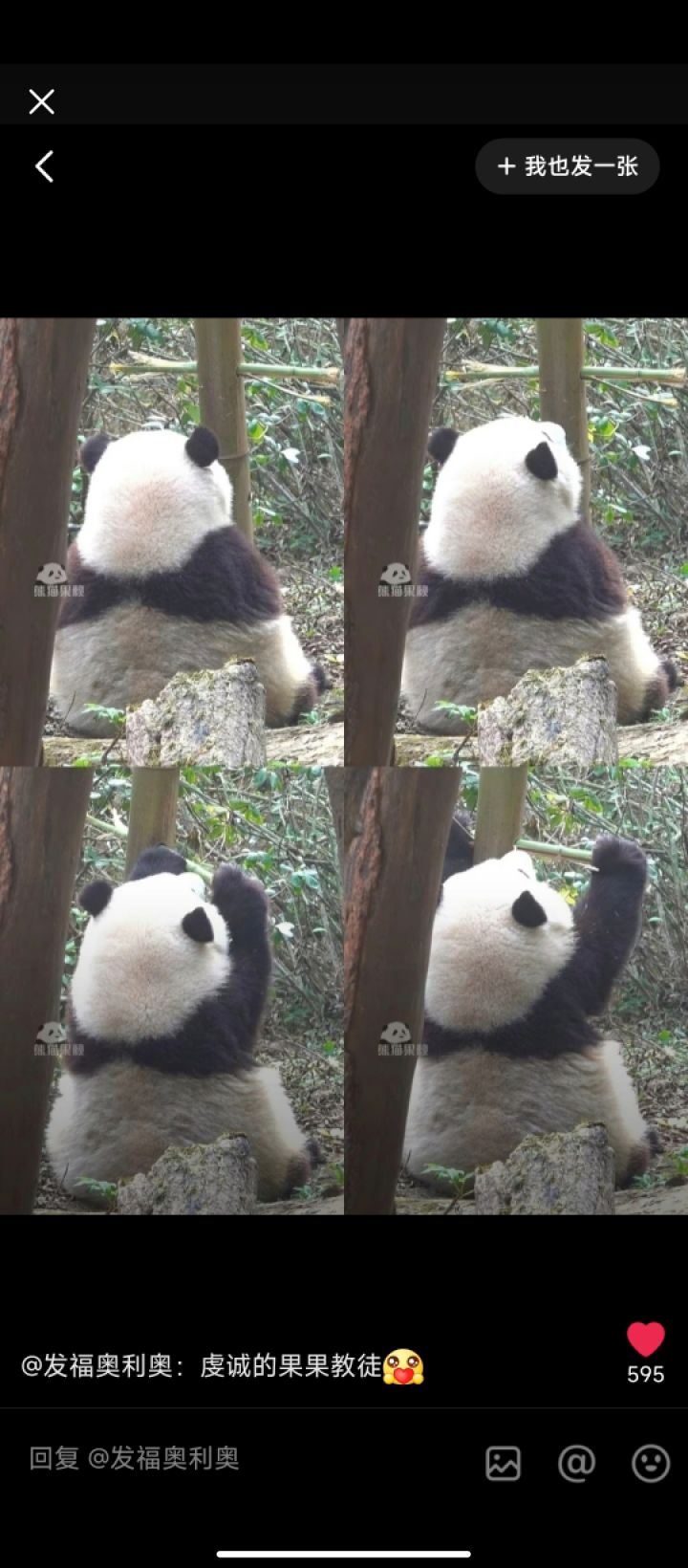 有没有大佬带带我玩百闻牌截图