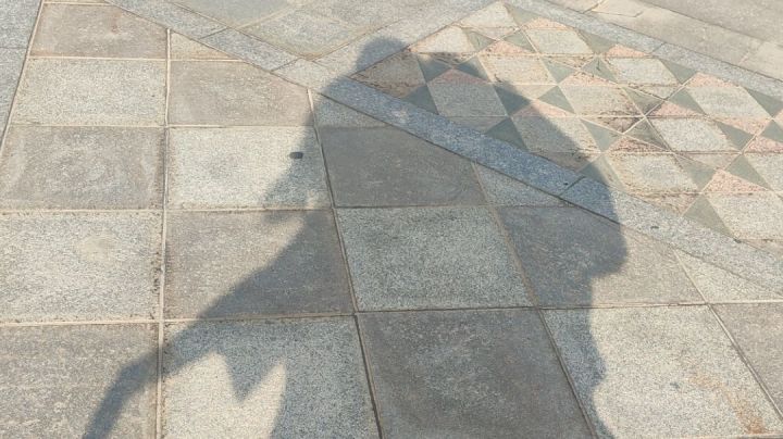 #灭罐小趴菜截图