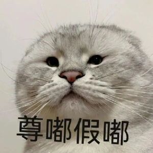 绽放之夜有耳环???? 1
