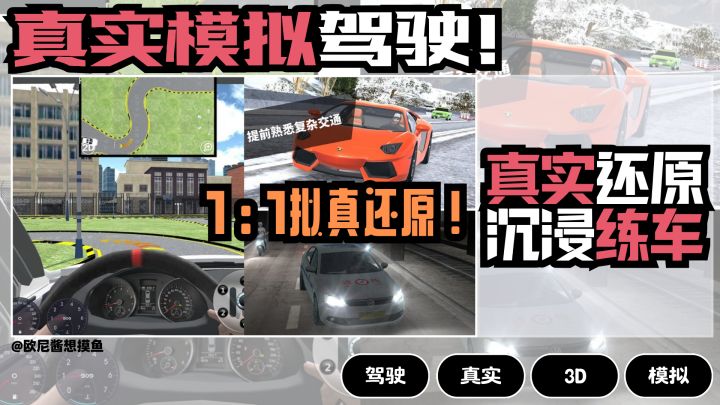 真实驾驶模拟❗沉浸式练车❗1:1还原~截图