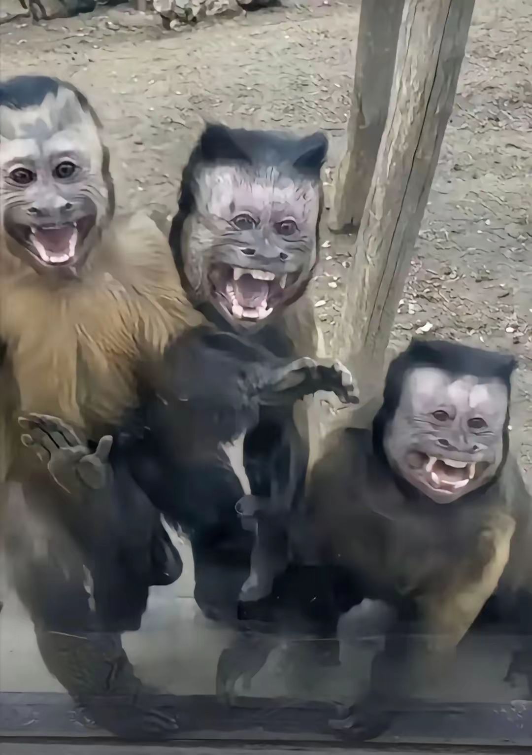 疲劳值 1