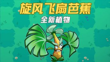 【全新植物介绍】旋风飞扇芭蕉飒爽登场！