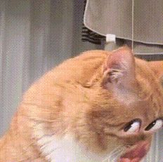 正推图呢截图