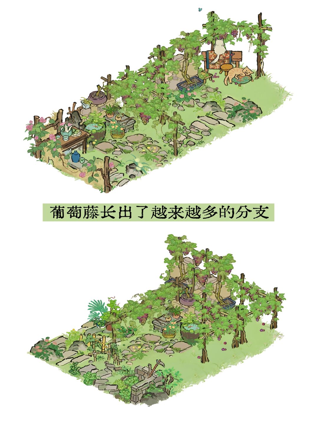 蔷薇酒庄——🍇葡萄大院🍇 3