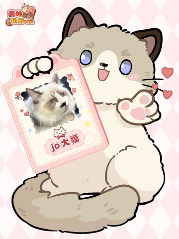 ❗️❗️快上号！猫咪主播在线送福利啦❗️❗️