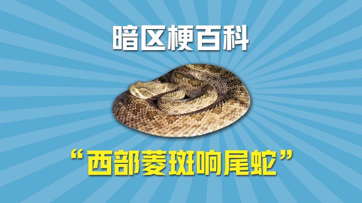 暗区梗百科之西部菱斑响尾蛇截图