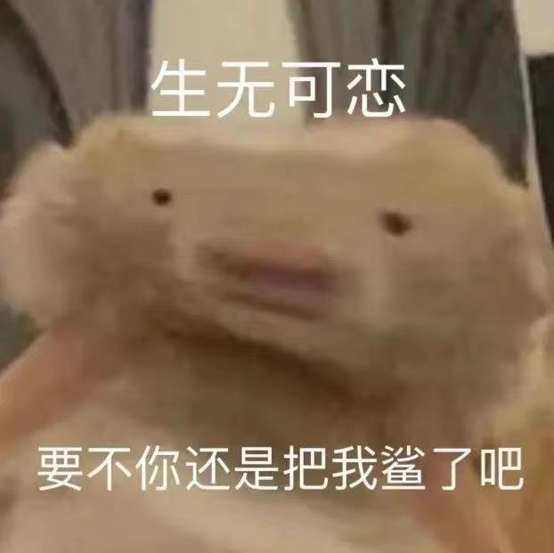 郁闷网速不好连点出问题了给我自动进商店抽了90发宠物 3