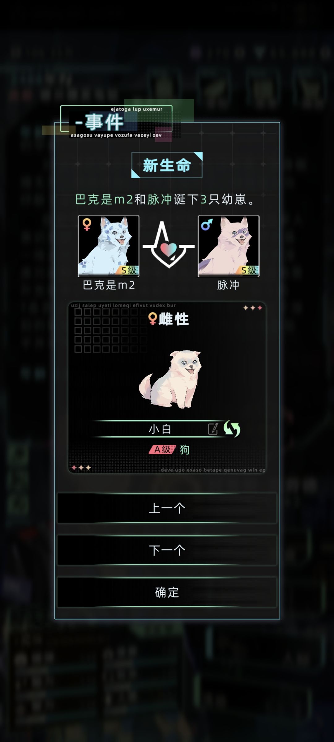 哇塞两胎都是三只狗! 5