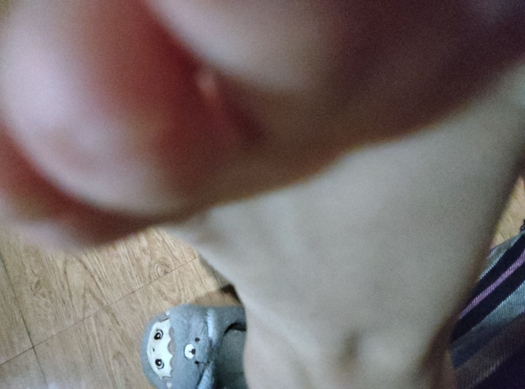 动态图片 12