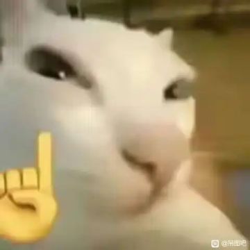 常驻池UI需要优化！