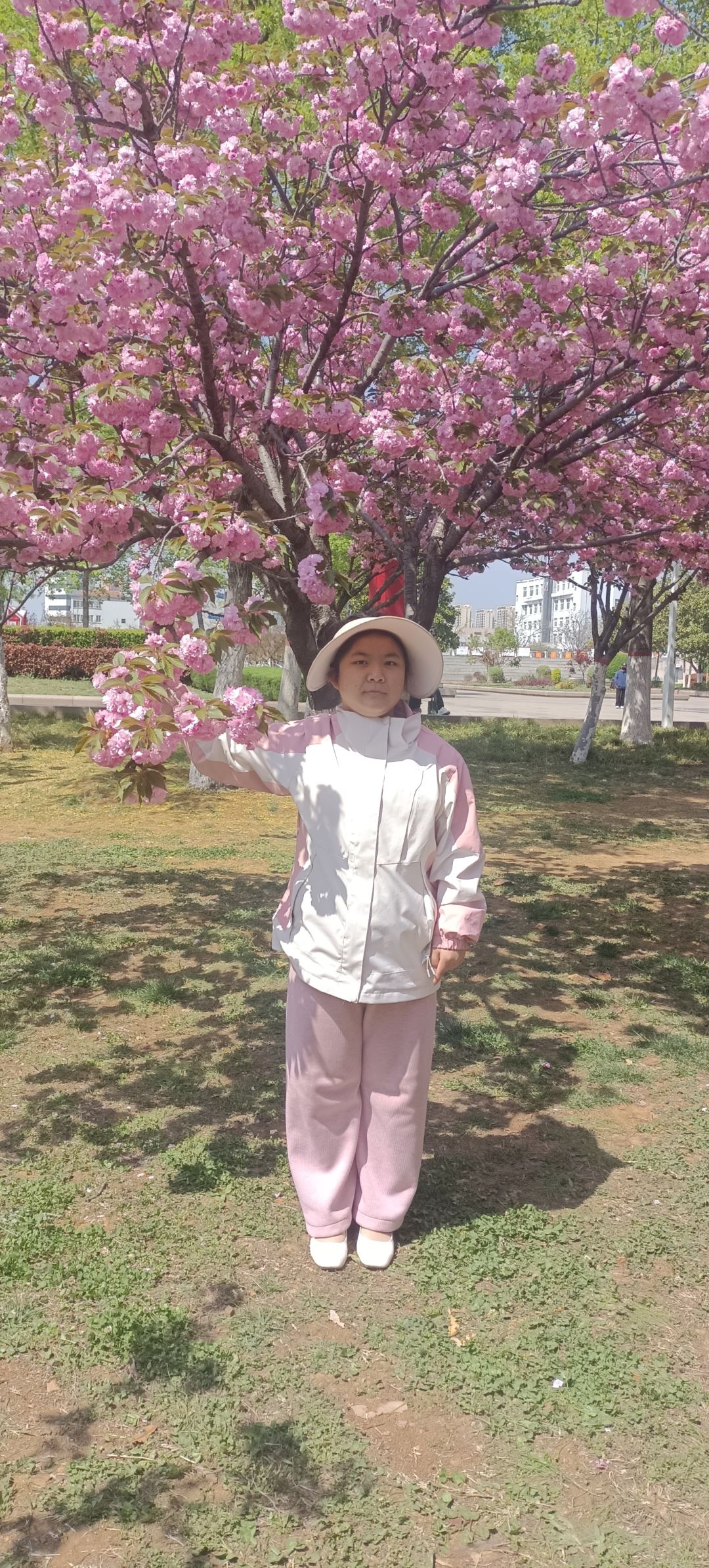 添加标题 4