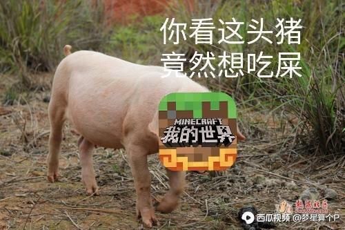 动态图片 8