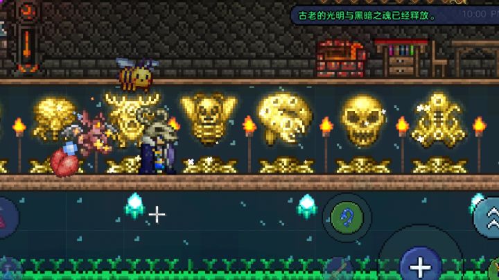 正式进入肉山后的世界啦(◦˙▽˙◦)截图