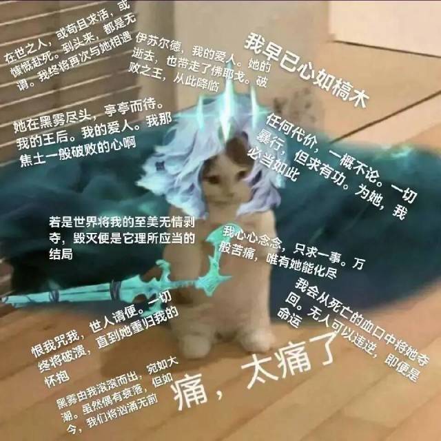 留个纪念 1