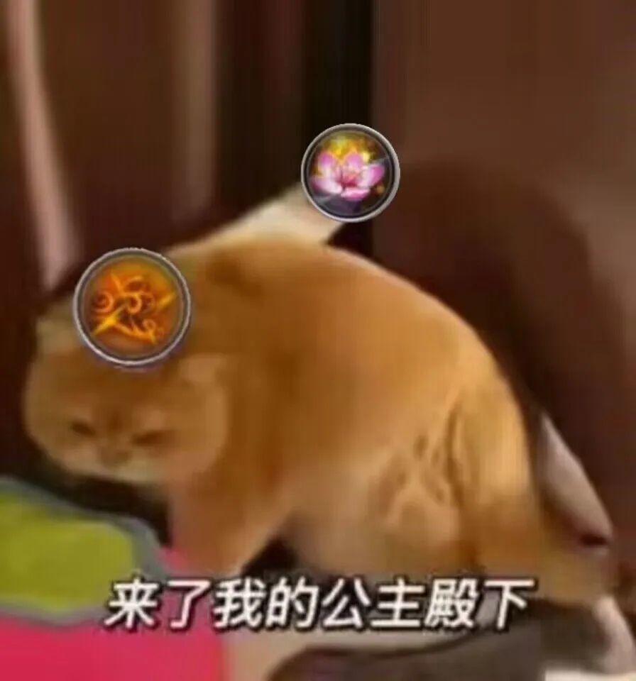 玩这时间最强的山居剑意,领悟人生 3