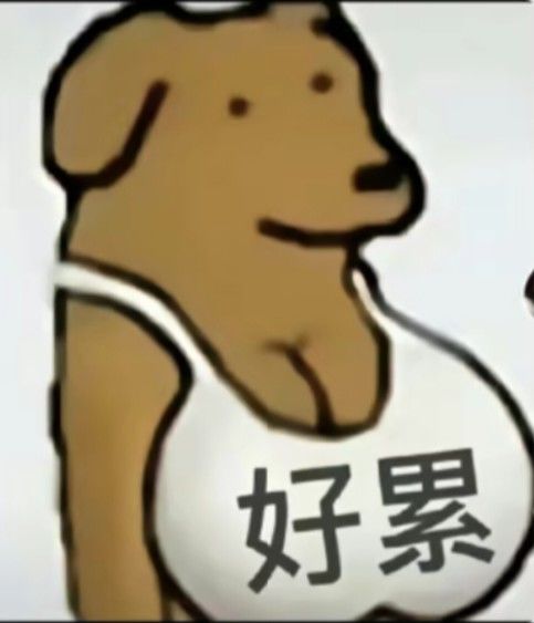 动态图片 6