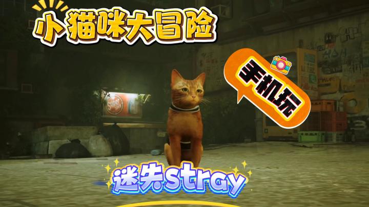 🐾Stray手机玩丨手全网猫奴秒沦陷:谁不想用肉垫踩爆霓虹?”截图