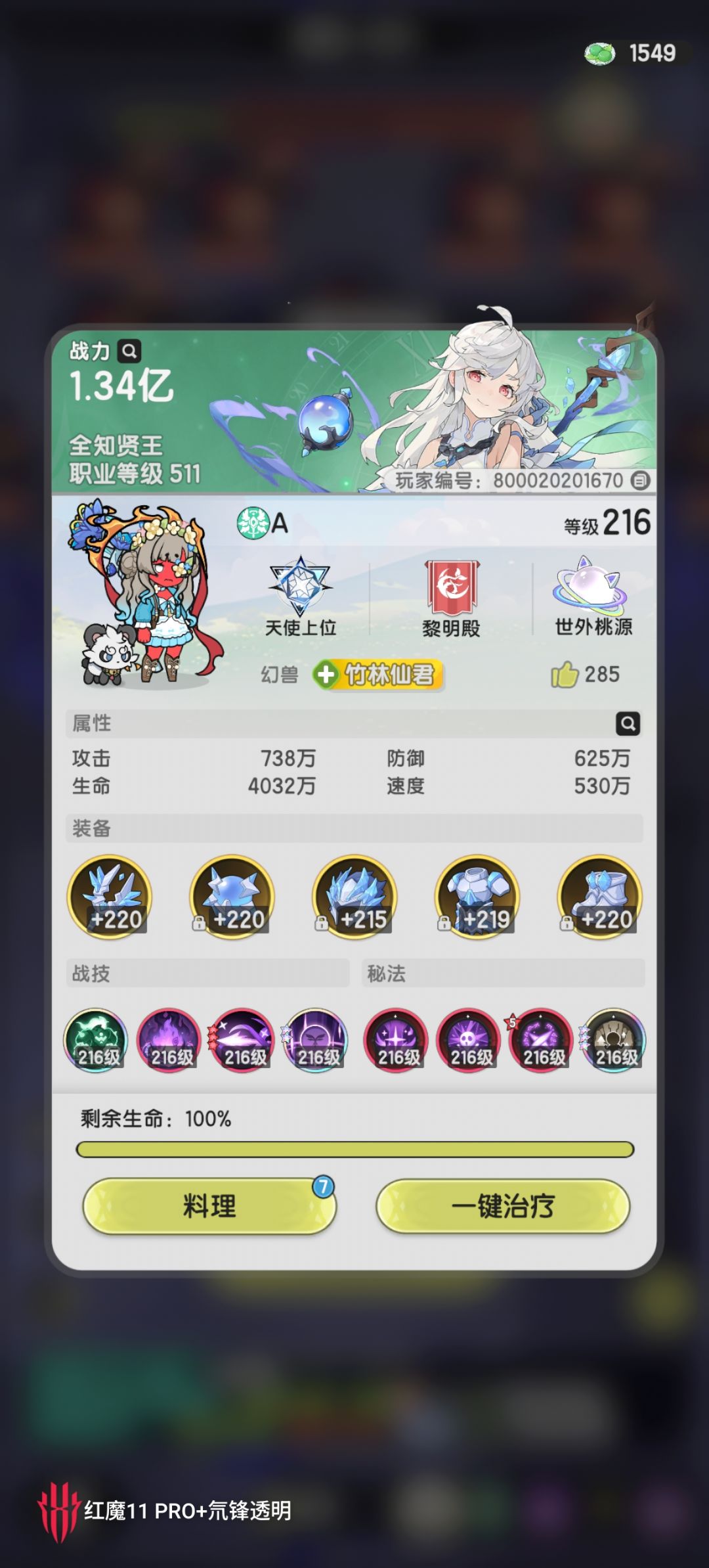 灵铠真心不错 绿色职业还是能推图了。 2