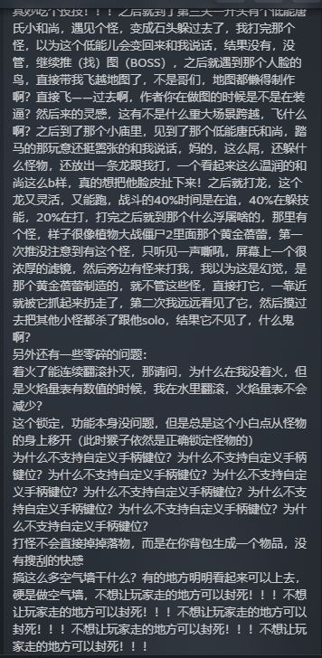 Steam评价 2