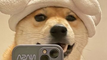 【褪羽·斯托拉斯】新水法师世界卡鬼爪攻略思路（2025.5.9）