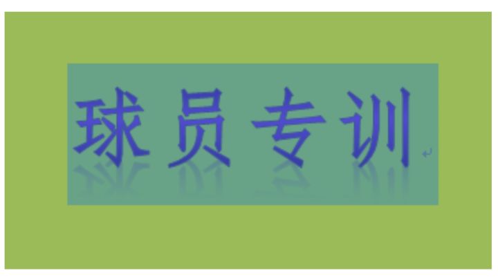新手进阶攻略（二）专训截图
