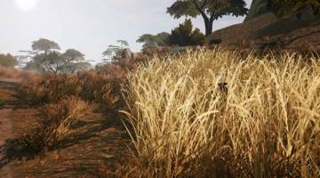 我“隐身”了！