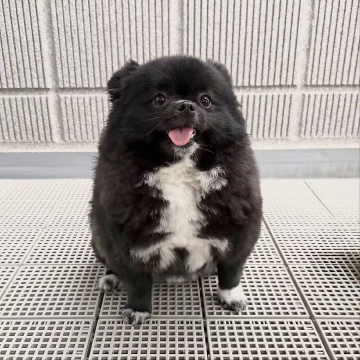 卖东西截图