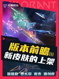 版本前瞻：来自猫猫套与塑水宗的期待