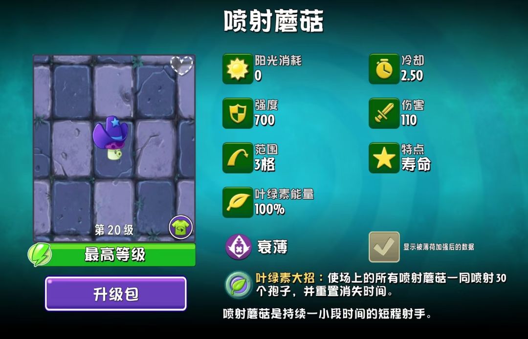 小喷菇 1