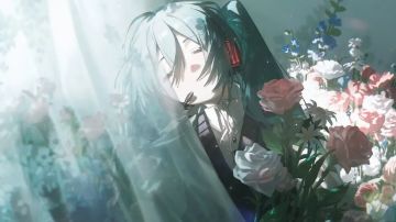 新手攻略（打法和运营思路）