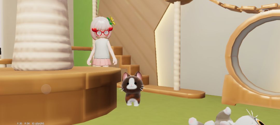 我这是刷到稀有猫了吗哈哈哈哈 2