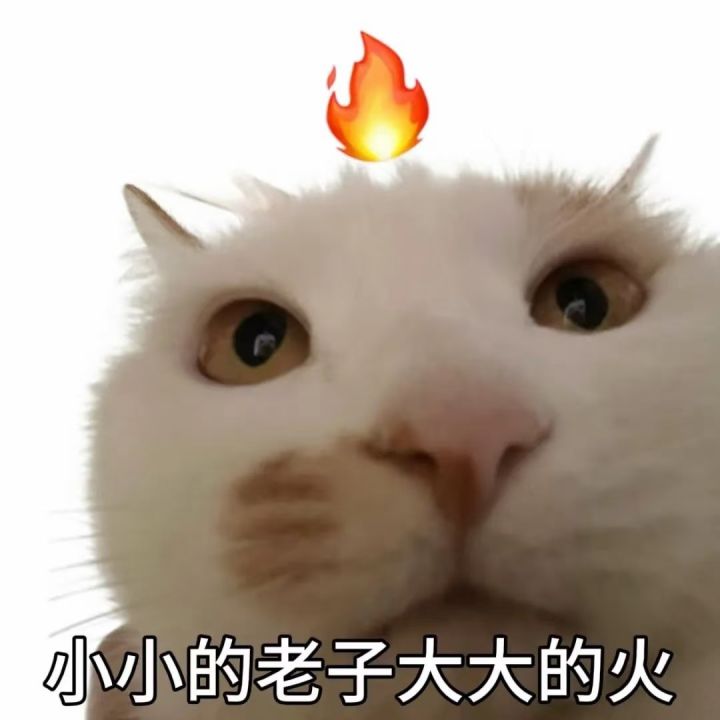 哪里买号安全截图