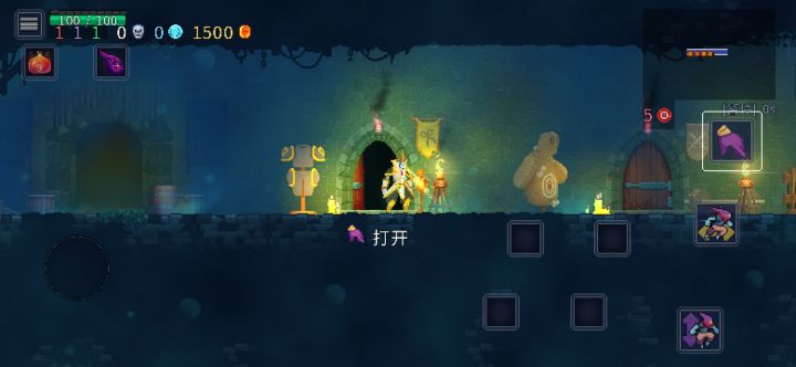 终于拿到白王了截图