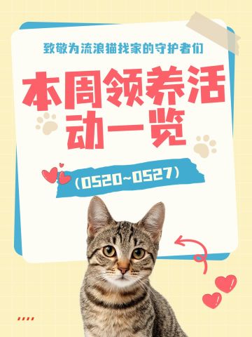 本周毛孩子领养活动一览（5.20-5.27）