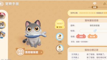 全网第一只10万+成长值银色渐层猫‖以及猫咪性格和提升的方法