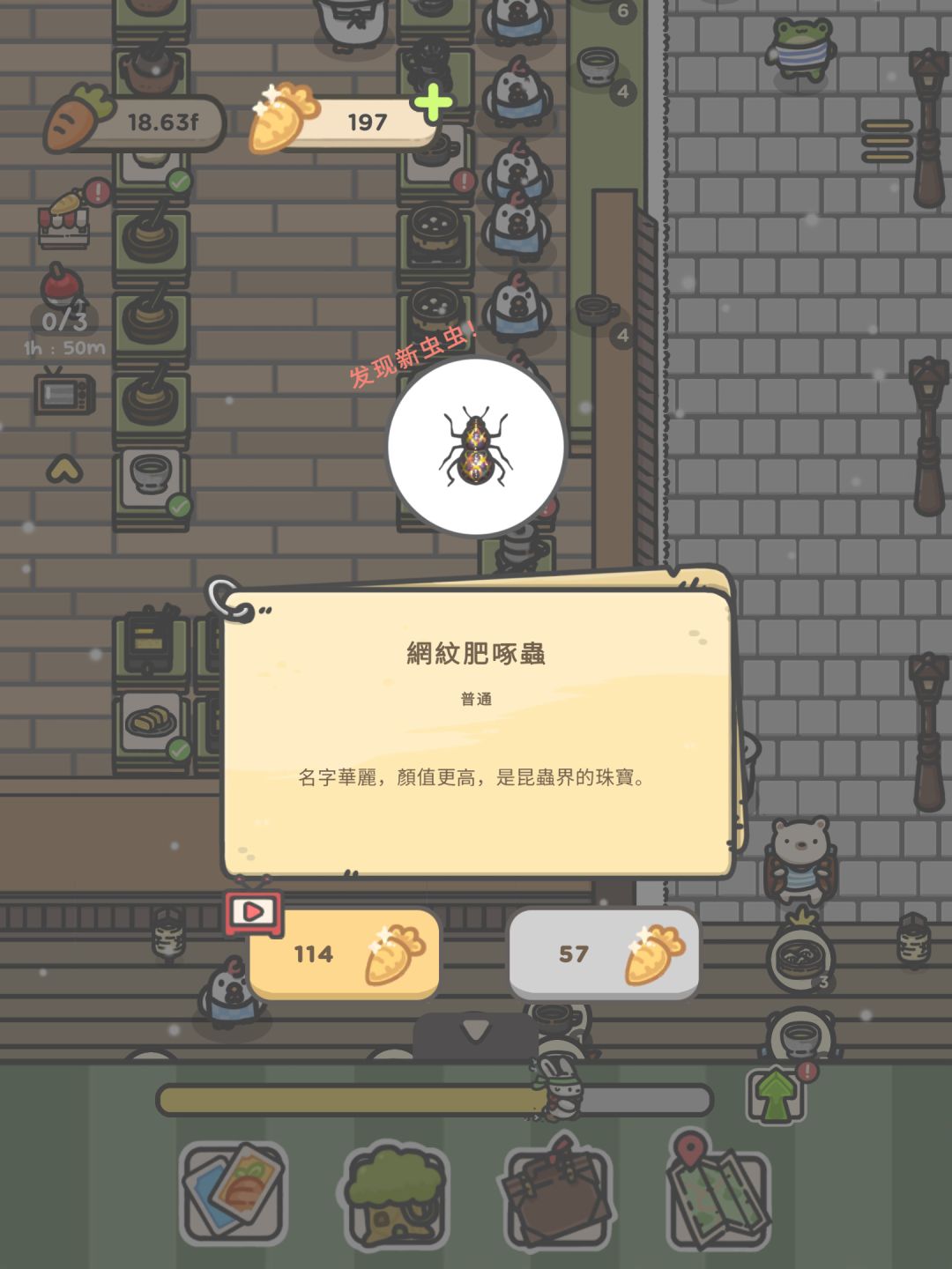 动态图片 6