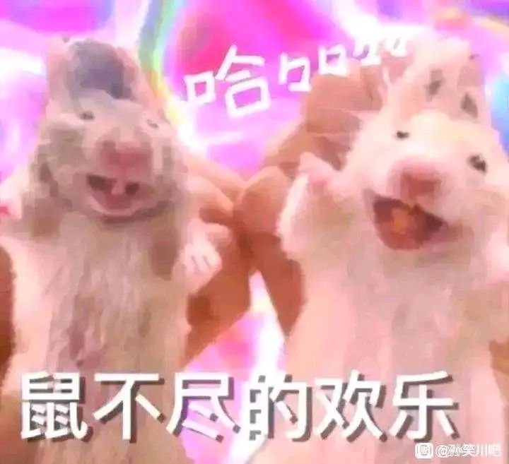 各位大佬,登仙的最后一步怎么突截图