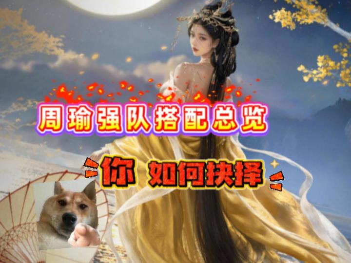藏书阁周瑜强队辈出 该如何选择【三国：谋定天下】截图