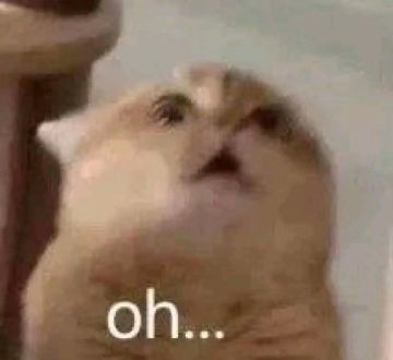 【决决子游戏日记】
8月2日 天气晴（烤箱版）
今天是沉迷骰子大冒险无法自拔的决决子，大家大冒险都坚持了多长时间啊？#游戏讨论#欢乐对决#上班摸鱼