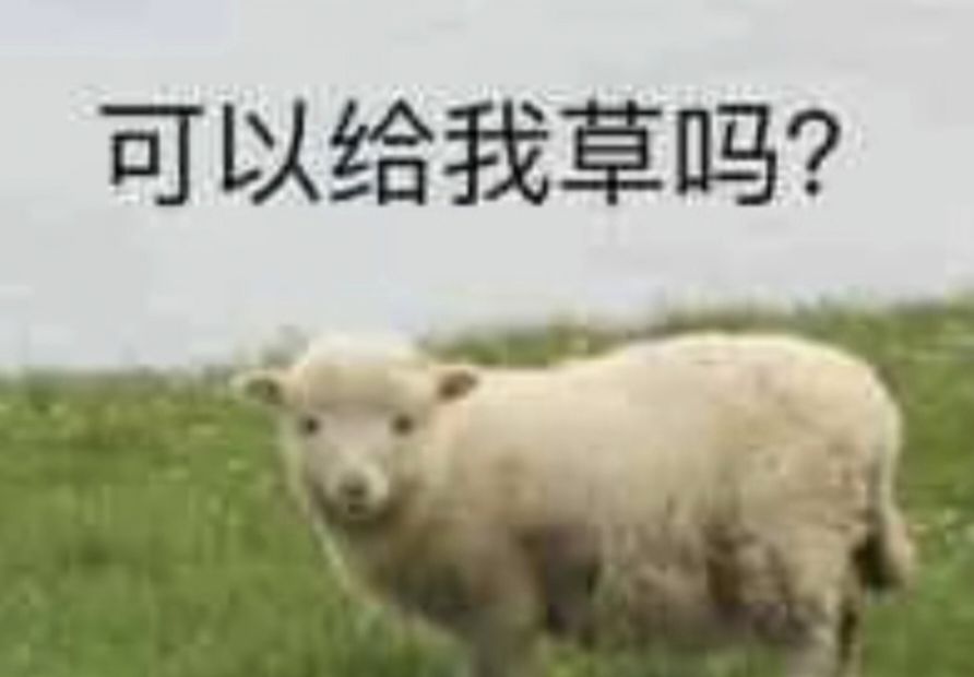 你们这群蛀虫不许说暴走✋😭✋ 1