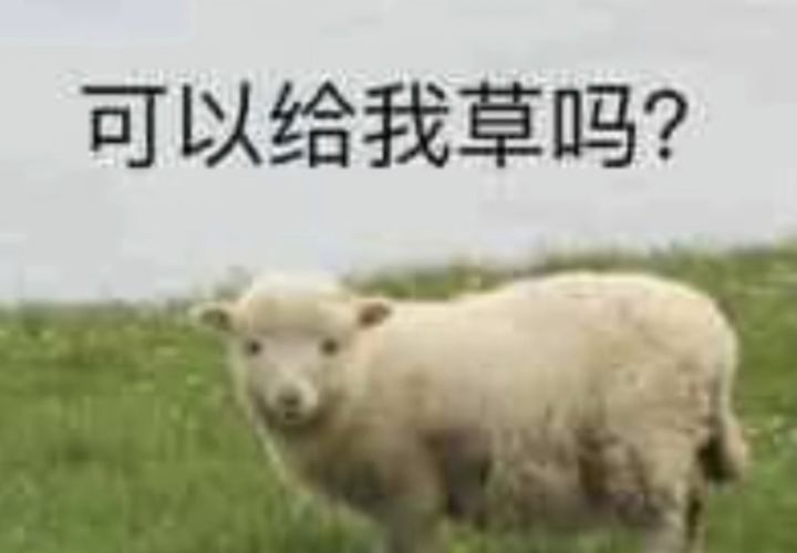 你们这群蛀虫不许说暴走✋😭✋截图