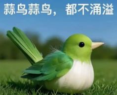 萌新求助,先挂秘诀还是先养老截图